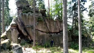 fot. A. Michniewicz