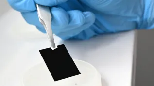 Fot. materiały prasowe