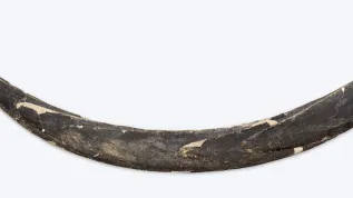 Fot. materiały prasowe