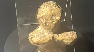 Fot. materiały prasowe