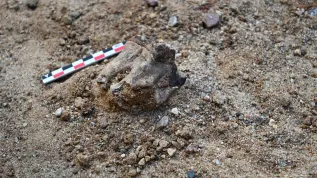 Fonte: Facoltà di Archeologia, Università di Varsavia.