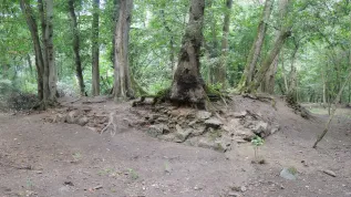 View of the relics of one of the buildings adjacent to the Hunting Palace (photo by R. Solecki)