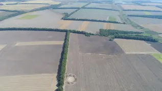 Końcowa faza eksploracji kurhanu. Fot. M. Ławniczak