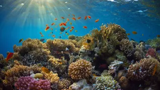 Photo: Adobe Stock