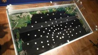 Białystok, 02.09.2025. Przedmioty zaprezentowane podczas konferencji prasowej w Muzeum Podlaskim w Białymstoku, 2 bm. Konferencja dotyczyła odkrycia skarbu z XVII w. w Puszczy Knyszyńskiej.(ad) PAP/Artur Reszko