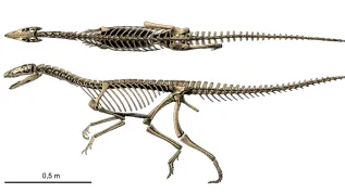 Fot. materiały prasowe