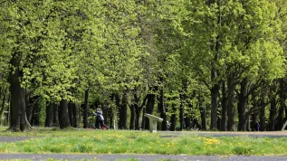 Fot. PAP/ Andrzej Grygiel