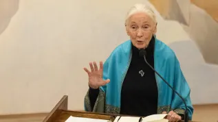 Dr Jane Goodall. 09.08.2024 Santiago (Chile).  Fot. EPA/AILEN DIAZ. Dostawca: PAP/EPA.