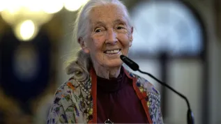 2.05.2025 r. Malaga (Hiszpania). Dr Jane Goodall. Fot. EPA/JORGE ZAPATA Źródło: PAP/EPA.