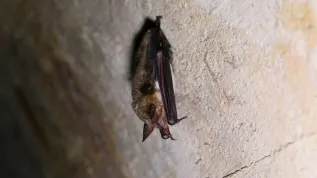 Fot. PAP/ Lech Muszyński