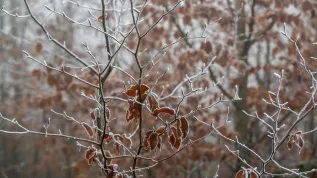  03.12.2024 PAP/Darek Delmanowicz