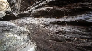 19.11.2025  PAP/Tytus Żmijewski