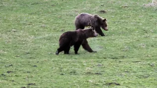 12.04.2025 PAP/Grzegorz Momot