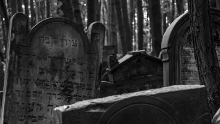 Źródło: Adobe Stock