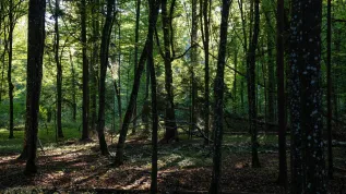 24.09.2025 PAP/Michał Zieliński