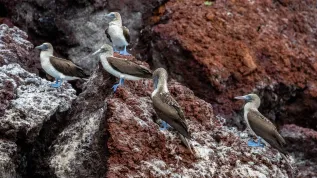 EPA/Jose Jacome 08.03.2024 