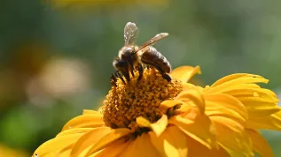 18.08.2022PAP/Marcin Bielecki