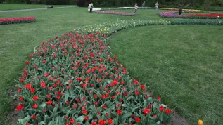 19.04.2025 PAP/Marian Zubrzycki