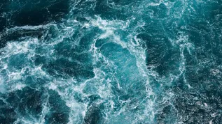 Fot. Adobe Stock