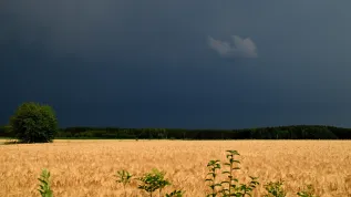 01.07.2026. Chmury burzowe nad polami. PAP/Michał Zieliński