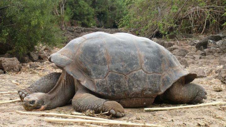 13921374_13921358.jpg?itok=4utsvpqI