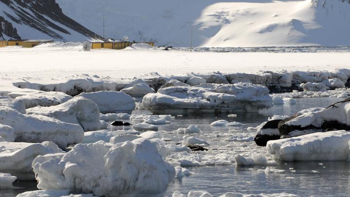 La Estación Antártica Polaca en la Isla Rey Jorge celebra su 46 cumpleaños