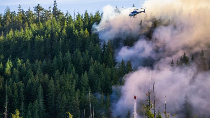 Aerosoli de la incendiile de vegetație din Canada sunt observați peste Polonia