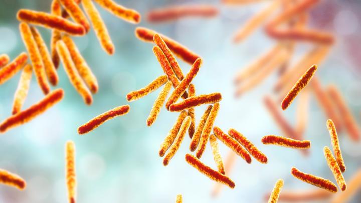 La terapia contra el cáncer se muestra prometedora en la lucha contra la tuberculosis