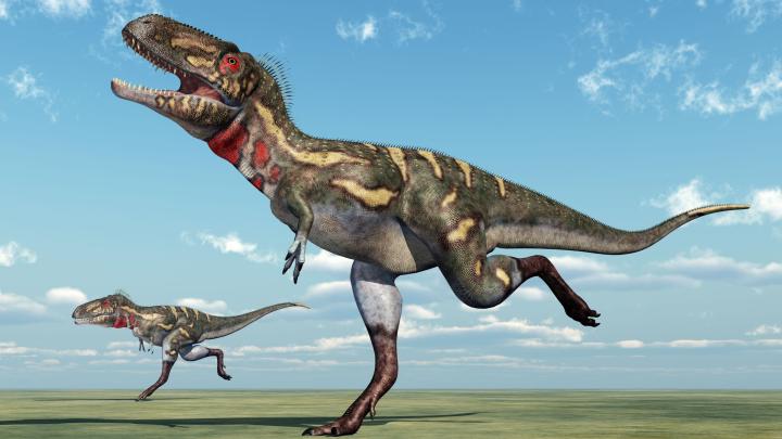 Los dinosaurios «jóvenes» son una especie separada: los nanodinosaurios