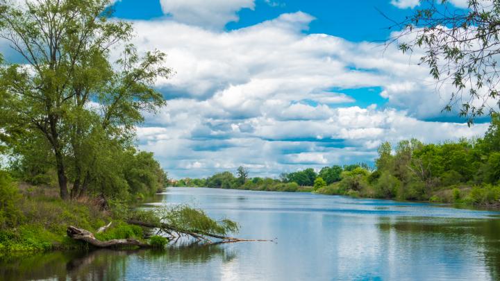 Scienziati dell'Università di Lodz in un progetto internazionale per monitorare la biodiversità nei fiumi