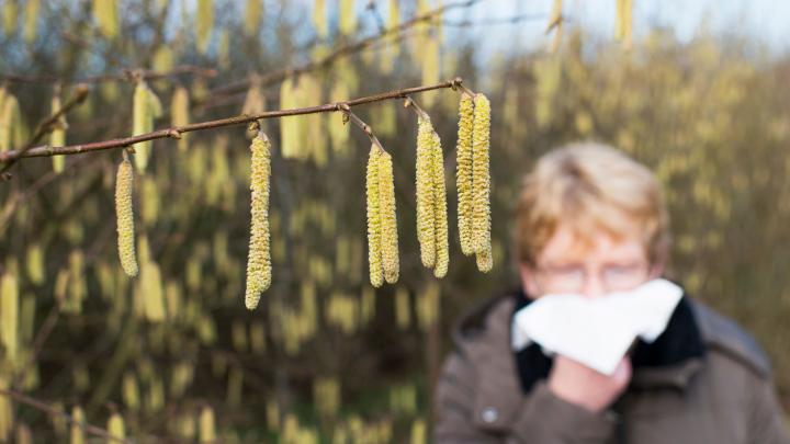 Alergolog: marzec oznacza objawy alergiczne u 30 proc. Polaków