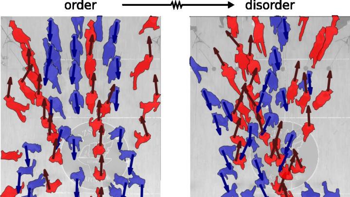 13 stopni do chaosu. Jak w ruchu przechodniów tworzy się i znika porządek