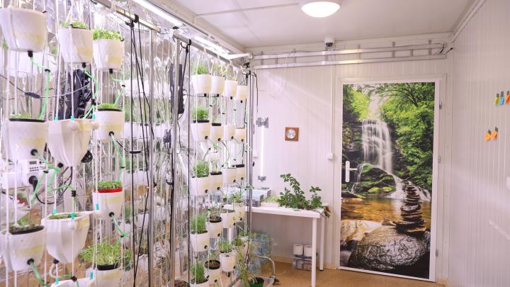 Równolegle do misji Ax-4 - lustrzana misja analogowych astronautów w Pile