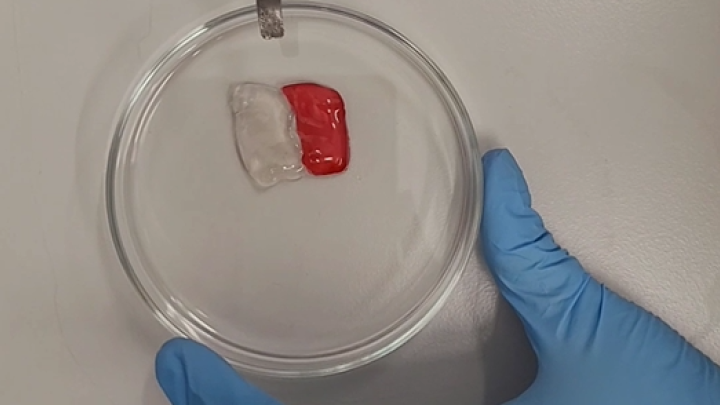 Naukowcy z Łukasiewicza opracowali hydrożele z polimerów naturalnych, ze zdolnością do samonaprawy