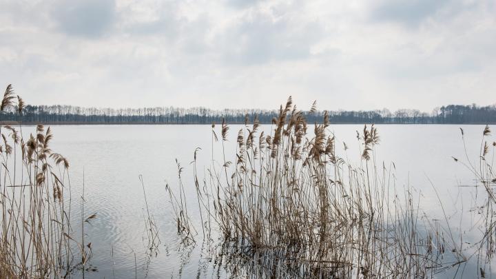 Wrocławska uczelnia i Stawy Milickie będą przeciwdziałać zmianom hydrologicznymi
