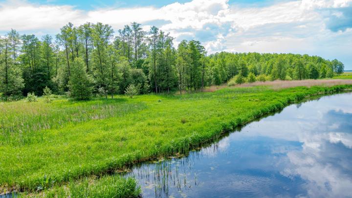 Ekspert: największą barierą dla renaturyzacji rzek jest prawo