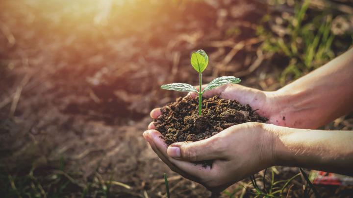 Polskie badanie: nie Zetki ani Millenialsi, a Baby Boomersi są najbardziej proekologiczni