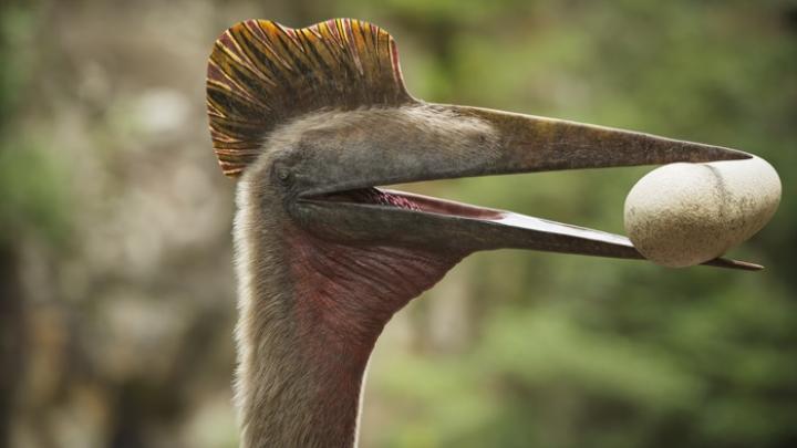 Paleoartystka: prace nad odtworzeniem jednego gatunku dinozaura realizowane są choćby rok (wywiad)