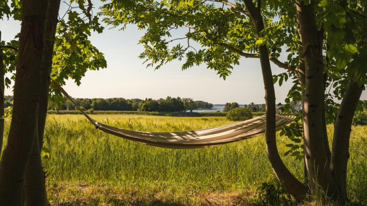 Ekspert: tegoroczne lato w Polsce było normalne