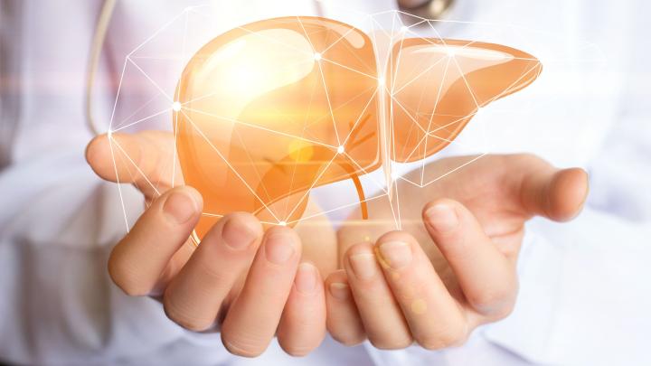 Maszyna, która pozwala wątrobie „żyć”; przełom w transplantologii klinicznej