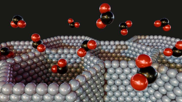 Mielenie – ekologiczny przepis z WAT na nagrodzone Noblem MOF-y