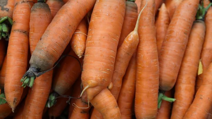 Warzywa z miejskich ogródków mogą zawierać metale ciężkie i pestycydy