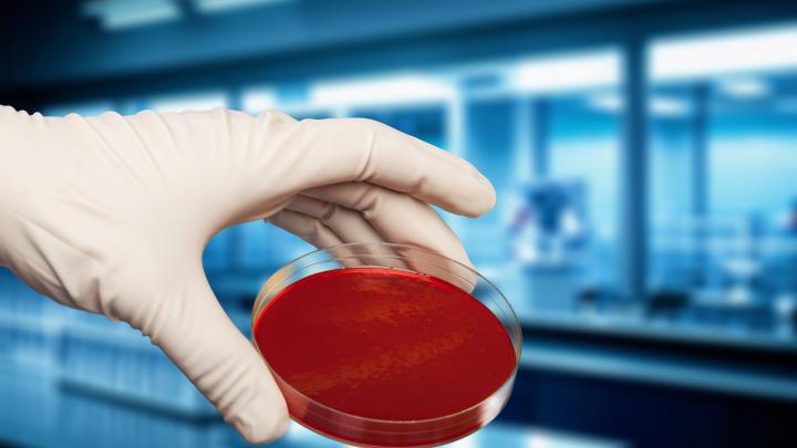 Gdańsk/ Polscy naukowcy opracowali metodę usuwania drobnoustrojów przy użyciu zimnej plazmy