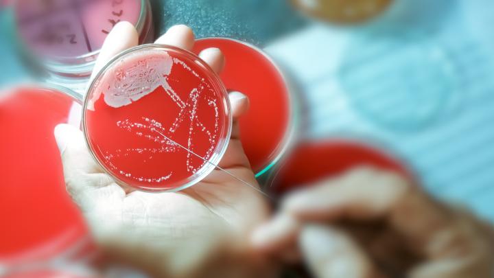 NCN: rusza konkurs na opracowanie metod leczenia antybiotykooporności