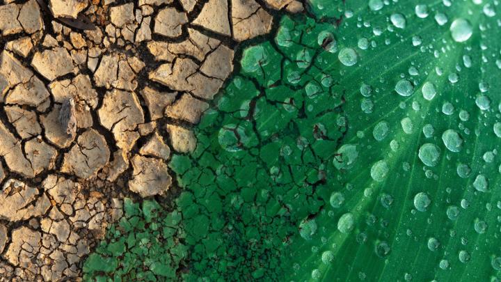 Komitet ds. klimatu PAN: skrajnie pesymistyczny scenariusz - traktujmy jako bazowy