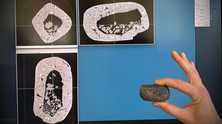 Tarnów/ Grzechotka sprzed ponad 2 tysięcy lat została przebadana tomografem komputerowego