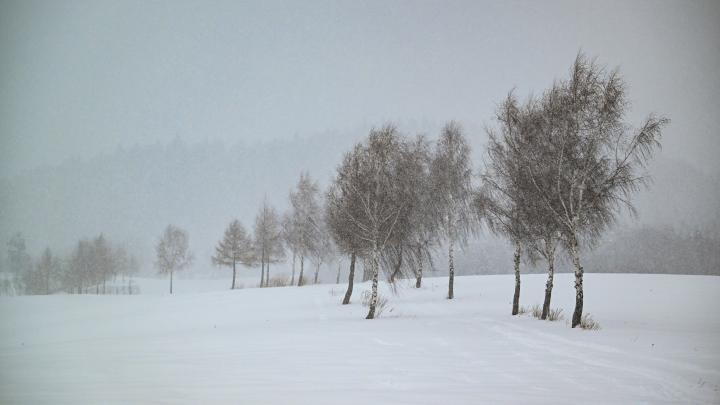 Raport: kontrasty zimy 2025/2026 - od grudnia z rekordami ciepła po najsuchszy styczeń w tym wieku