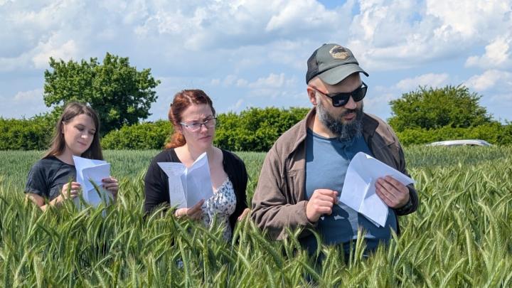 Opracowano nowy środek przeciw chorobom grzybowym roślin