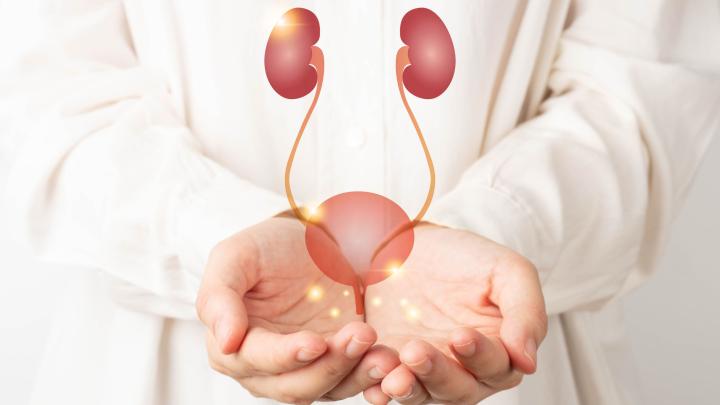 Eksperci: przewlekła choroba nerek długo nie daje objawów; warto wykonywać proste badania