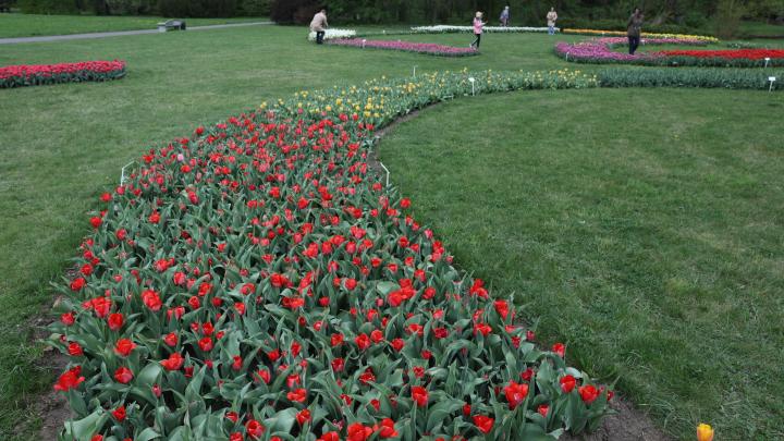 Łódź/ Naukowcy z UŁ krytycznie o budowie pawilonu na terenie Ogrodu Botanicznego